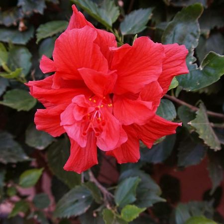 德尔锡伦西奥海岸La Hacienda Holiday公寓 外观 照片